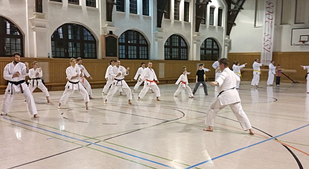 karate_training